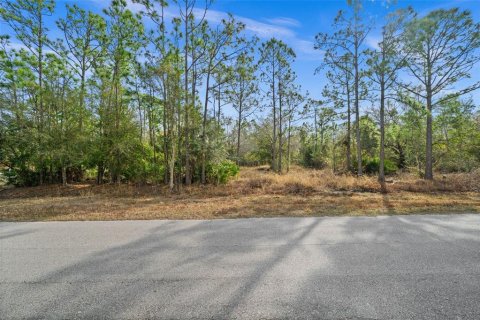 Land in Punta Gorda, Florida № 2164781 - photo 7