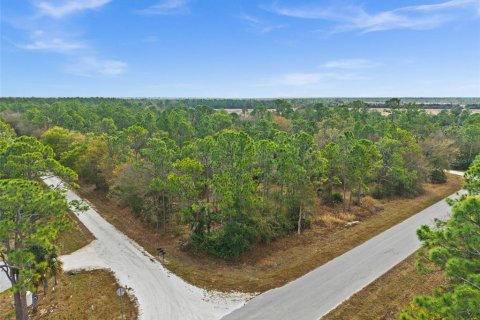 Land in Punta Gorda, Florida № 2164781 - photo 3