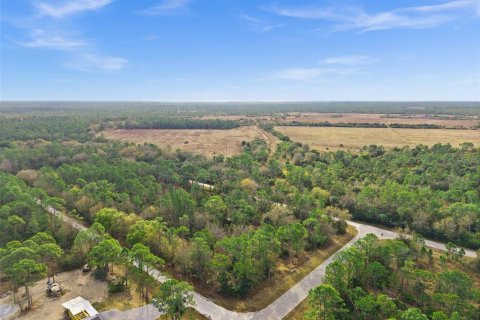 Land in Punta Gorda, Florida № 2164781 - photo 9