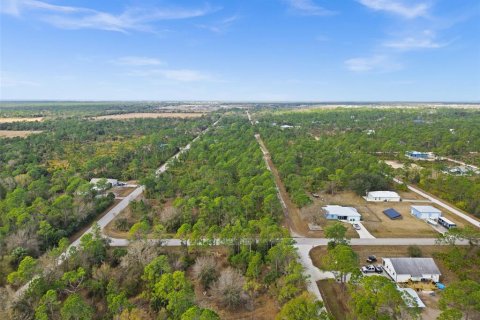 Land in Punta Gorda, Florida № 2164781 - photo 11