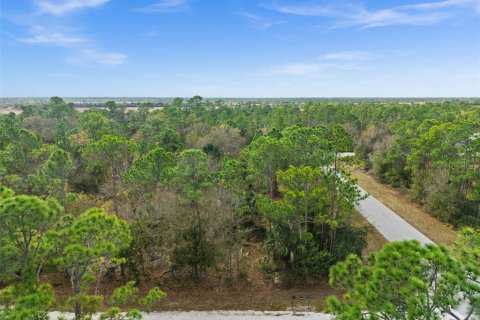 Land in Punta Gorda, Florida № 2164781 - photo 4