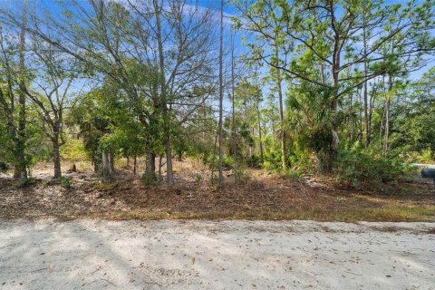Land in Punta Gorda, Florida № 2164781 - photo 6