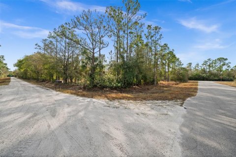 Land in Punta Gorda, Florida № 2164781 - photo 5