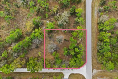 Land in Punta Gorda, Florida № 2164781