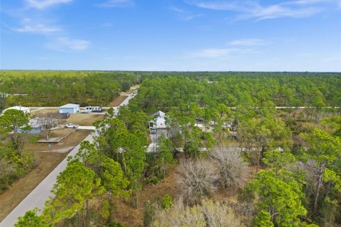 Land in Punta Gorda, Florida № 2164781 - photo 14