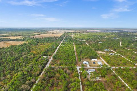 Land in Punta Gorda, Florida № 2164781 - photo 12