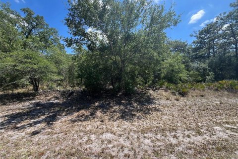 Land in Indian lake estates, Florida № 2160576