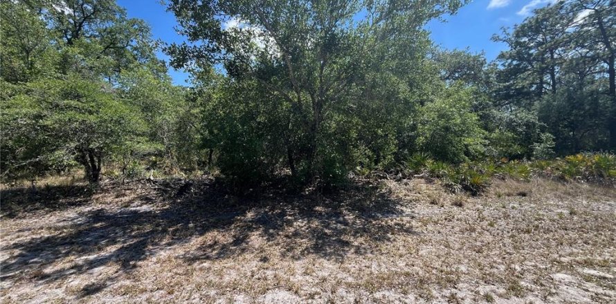 Land in Indian lake estates, Florida № 2160576