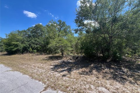 Land in Indian lake estates, Florida № 2160576 - photo 3