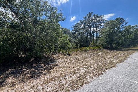 Land in Indian lake estates, Florida № 2160576 - photo 4
