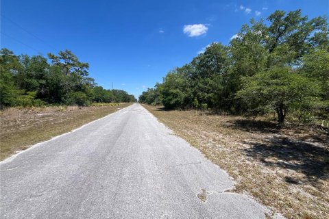 Land in Indian lake estates, Florida № 2160576 - photo 6