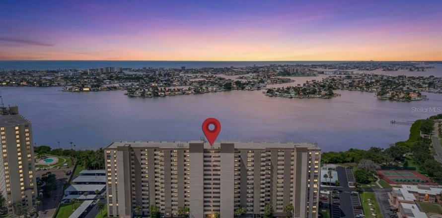 Condo à South Pasadena, Floride, 2 chambres № 2373577