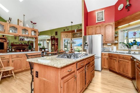 Villa ou maison à vendre à Brooksville, Floride: 5 chambres, 423.17 m2 № 1211447 - photo 28