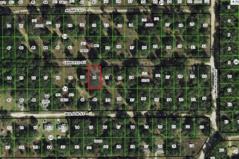 Land in Inverness, Florida № 2225215 - photo 2