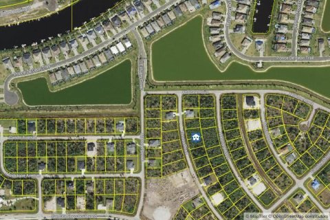 Land in Port Charlotte, Florida № 2161604 - photo 5