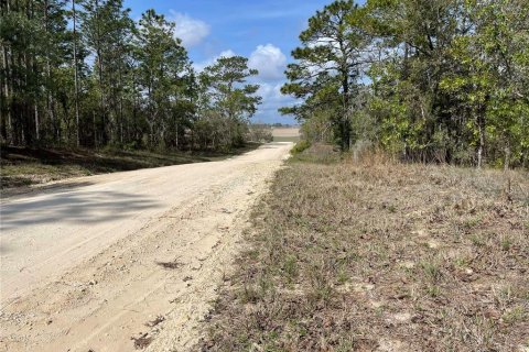 Land in Williston, Florida № 2232716 - photo 5