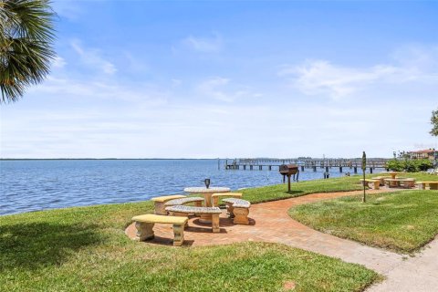 Condo in Dunedin, Florida, 2 bedrooms  № 1856526 - photo 24
