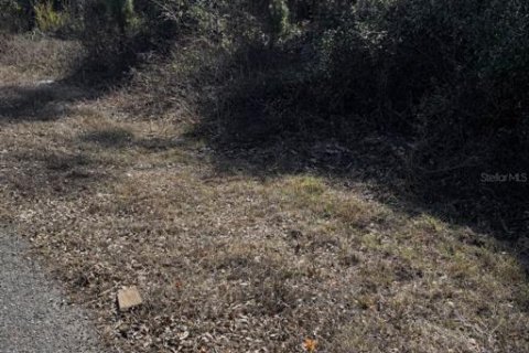 Land in Port Charlotte, Florida № 2161377