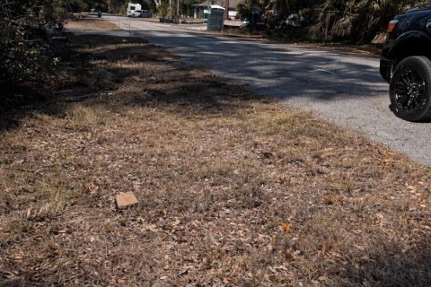Land in Port Charlotte, Florida № 2161377 - photo 2