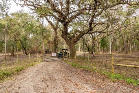 Land in Brooksville, Florida № 2122390