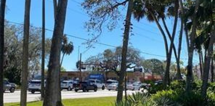 Terreno en Okeechobee, Florida № 992023