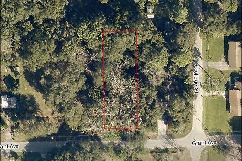 Land in Eustis, Florida № 217568 - photo 1