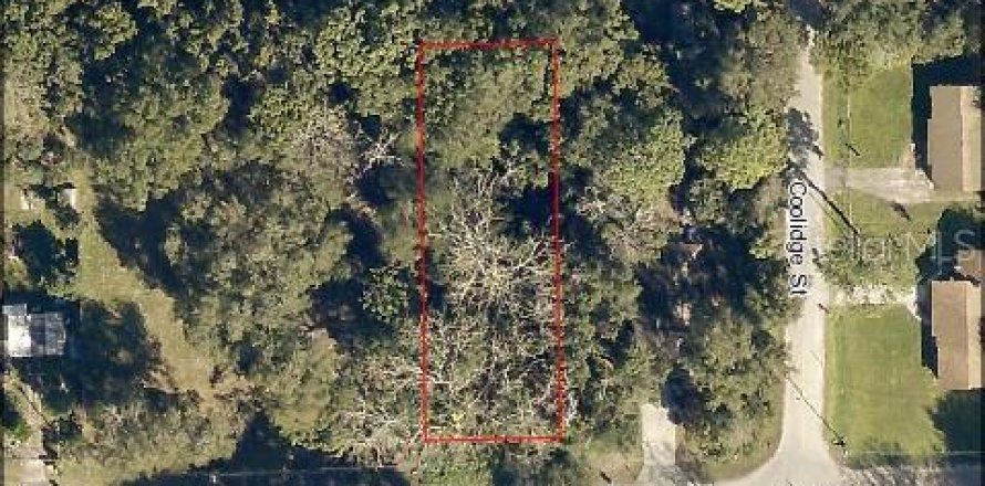 Land in Eustis, Florida № 217568