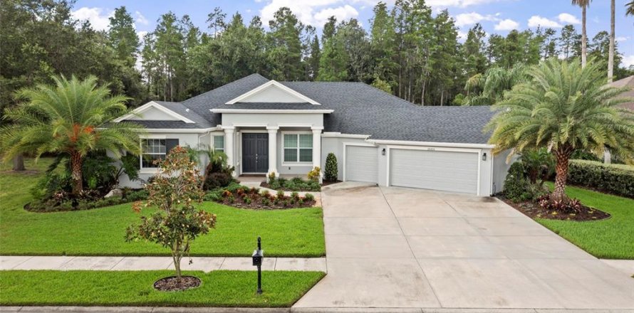 House in Land O' Lakes, Florida 4 bedrooms, 295.15 sq.m. № 2221381
