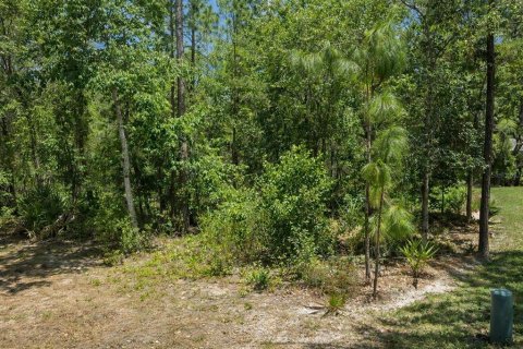 Terreno en venta en Homosassa, Florida № 2159384 - foto 3
