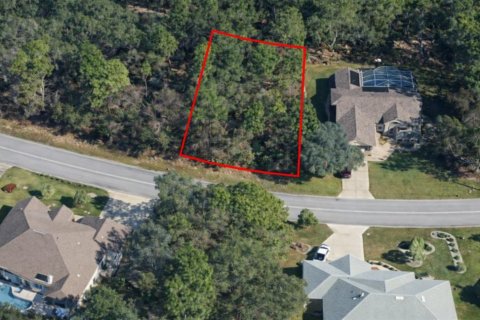Terreno en venta en Homosassa, Florida № 2159384 - foto 4