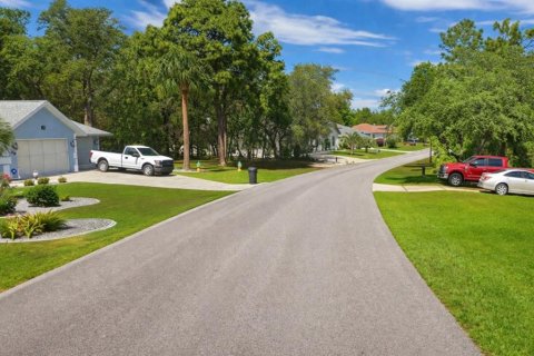 Terreno en venta en Homosassa, Florida № 2159384 - foto 2