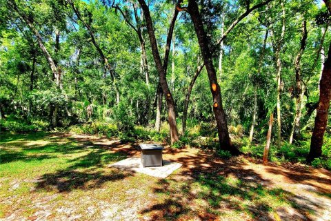 House in Palm Harbor, Florida 3 bedrooms, 213.49 sq.m. № 1662065 - photo 2