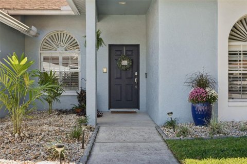 House in Tampa, Florida 3 bedrooms, 163.97 sq.m. № 2430730 - photo 3