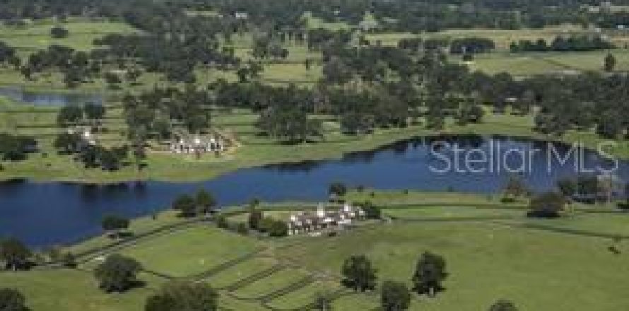 Terreno en Summerfield, Florida № 1553460