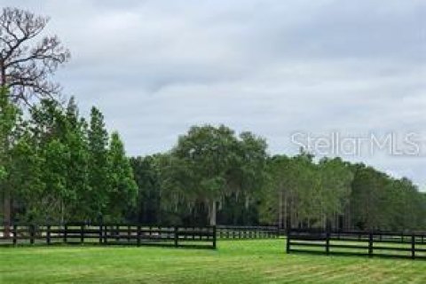 Terreno en venta en Summerfield, Florida № 1553460 - foto 4