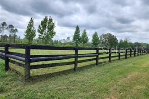 Terreno en venta en Summerfield, Florida № 1553460 - foto 12