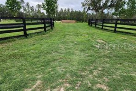 Terreno en venta en Summerfield, Florida № 1553460 - foto 17