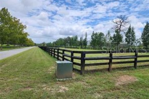 Terreno en venta en Summerfield, Florida № 1553460 - foto 5