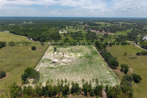 Terreno en venta en Summerfield, Florida № 1553460 - foto 21