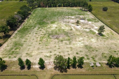 Terreno en venta en Summerfield, Florida № 1553460 - foto 18