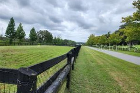 Terreno en venta en Summerfield, Florida № 1553460 - foto 14