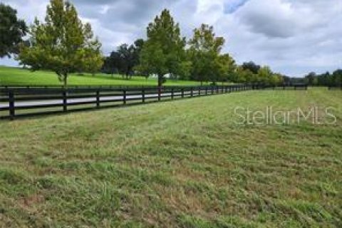 Terreno en venta en Summerfield, Florida № 1553460 - foto 16