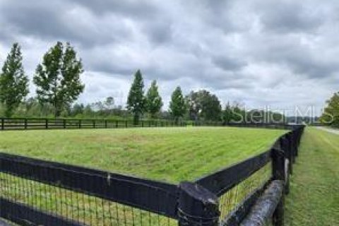 Terreno en venta en Summerfield, Florida № 1553460 - foto 15