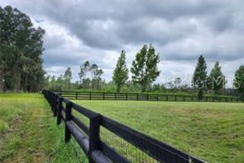 Terreno en venta en Summerfield, Florida № 1553460 - foto 13