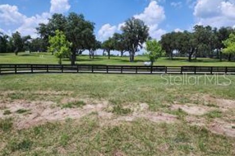 Terreno en venta en Summerfield, Florida № 1553460 - foto 7