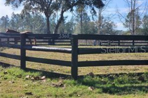 Terreno en venta en Summerfield, Florida № 1553460 - foto 9