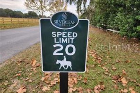 Terreno en venta en Summerfield, Florida № 1553460 - foto 11