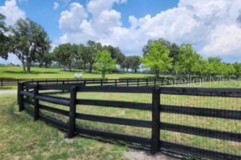 Terreno en venta en Summerfield, Florida № 1553460 - foto 6