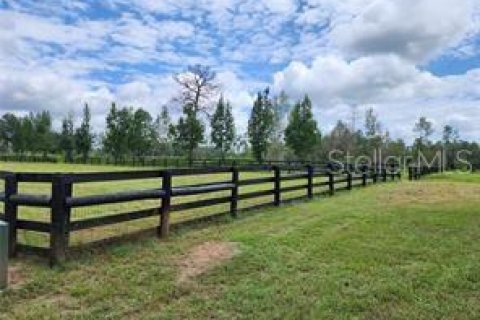 Terreno en venta en Summerfield, Florida № 1553460 - foto 8