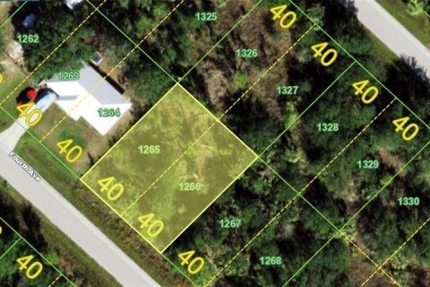 Land in Punta Gorda, Florida № 2226548